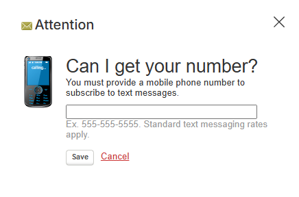 Cell phone entry screen