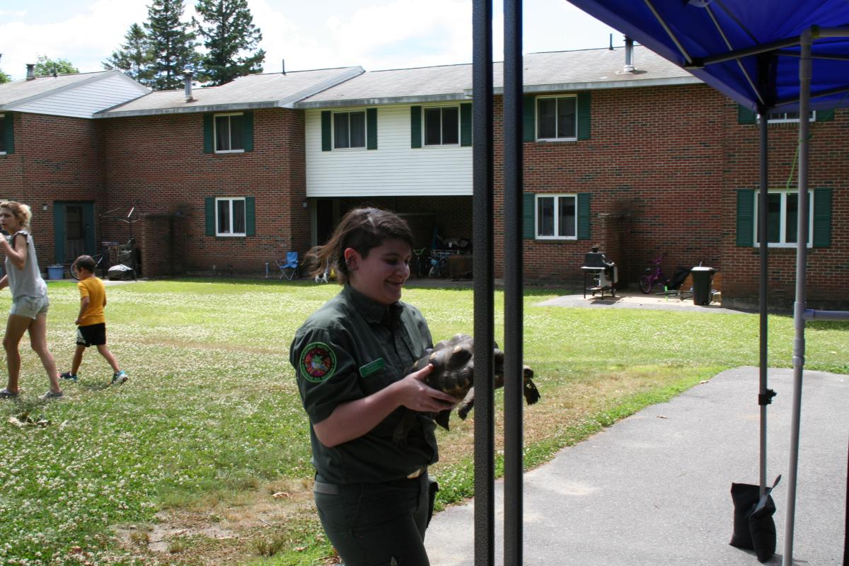Nature volunteering holding a turtle