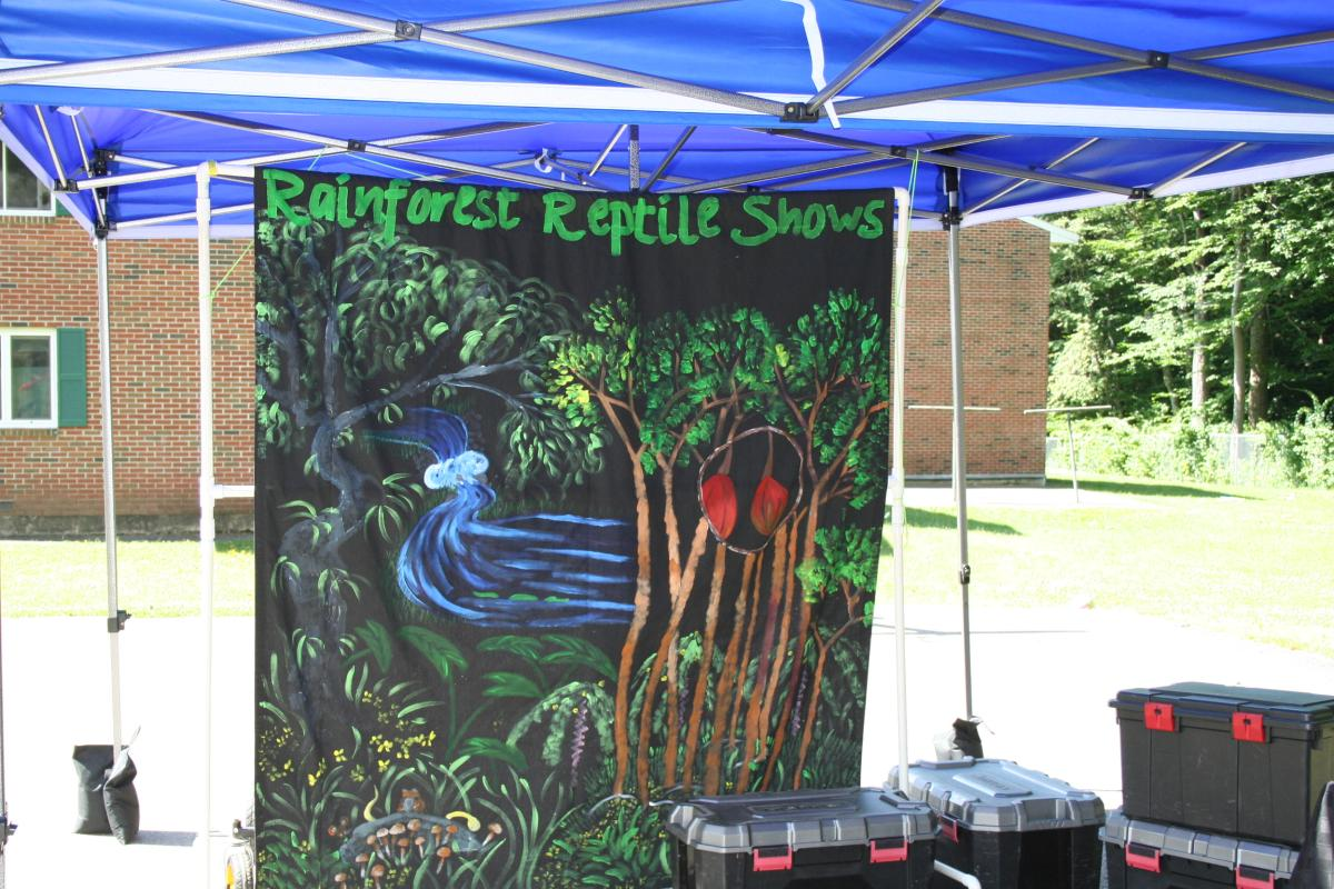 Reptile Rainforest Presentation June 2022