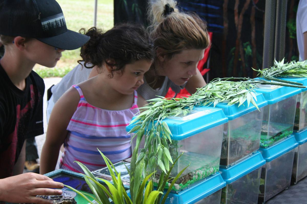Kids checking out the smaller animals