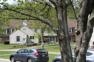 Tree in Front of House