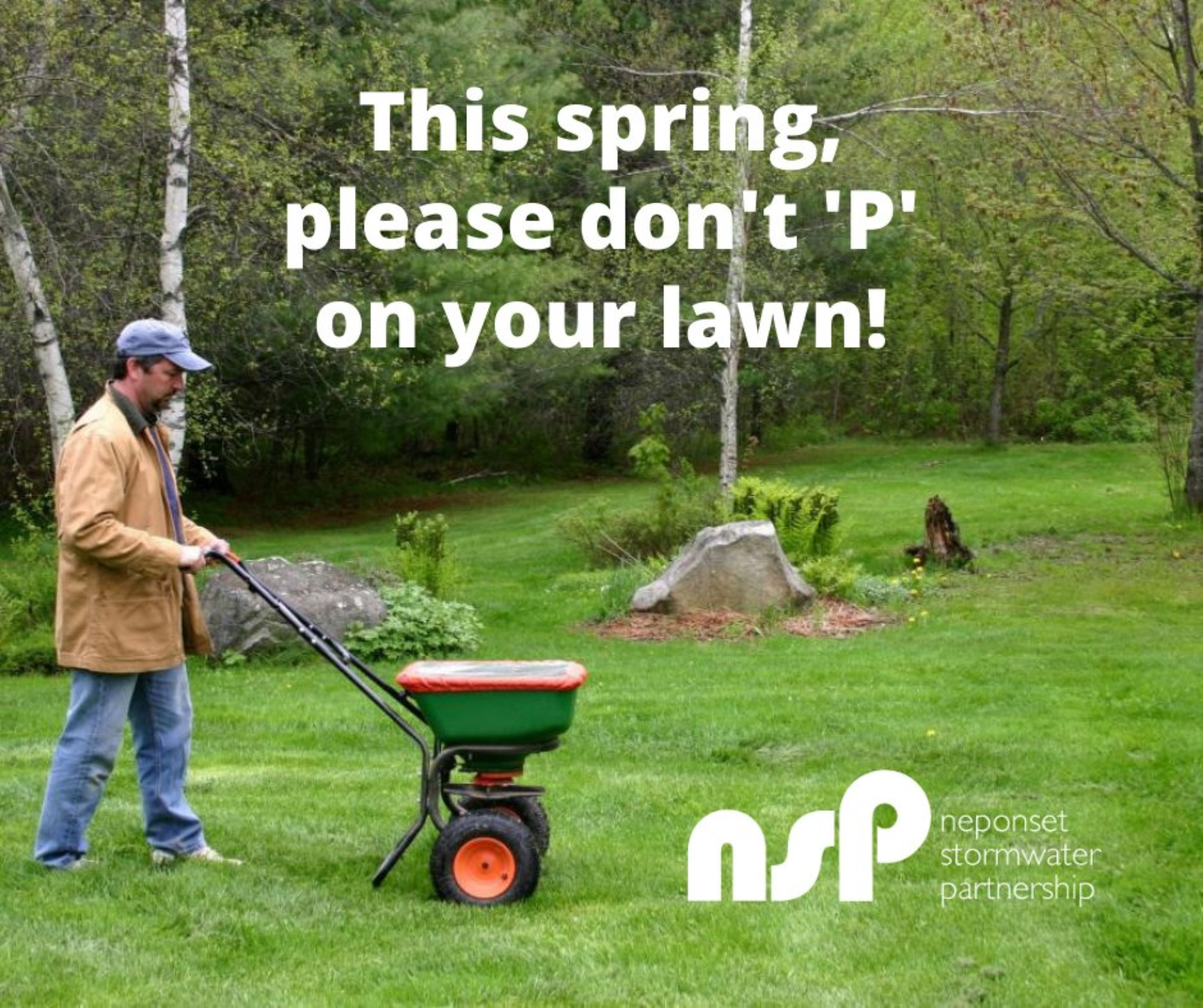 NSP - Lawn Care Information
