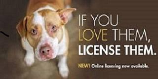 2024 Dog License available
