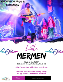 The Little Mermen