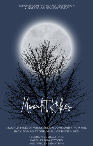 Moonlit Hikes