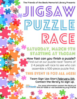 puzzle race