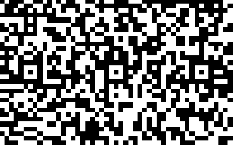 QR Code for HPP